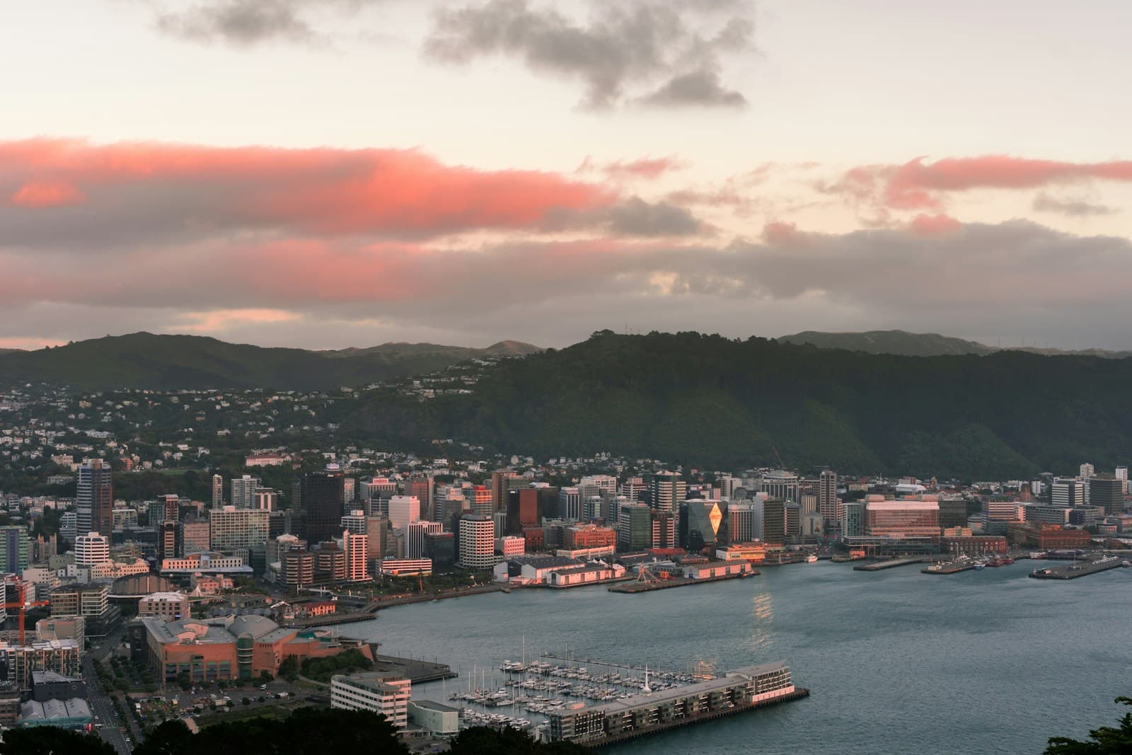 Wellington city and harbour at dusk