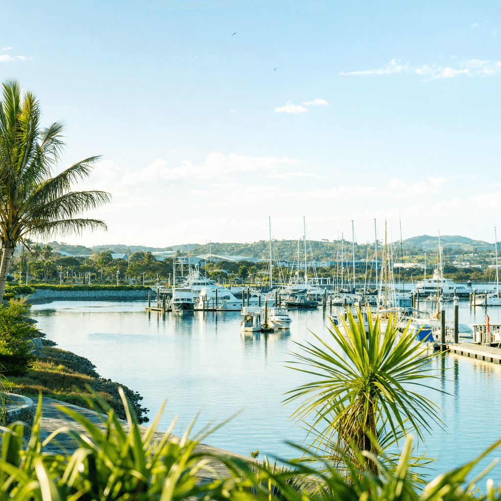 The Town Basin marina in subtropical Whangārei
